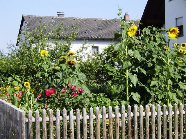 Mitten in der Stadt Bobingen, der typische Bauerngarten