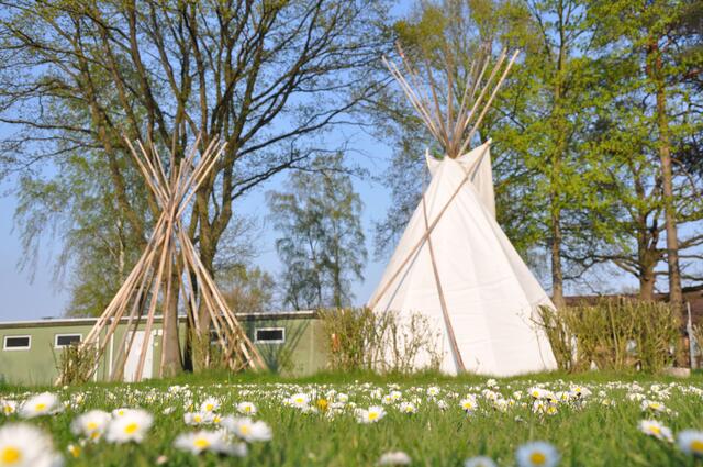Zelten in Dahrenhorst im Burgdorfer Land