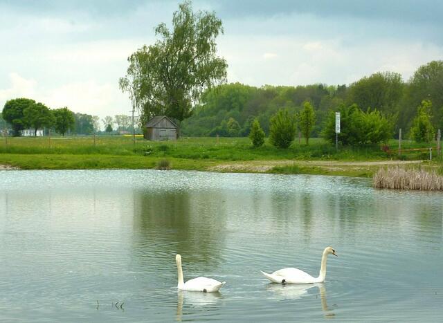 Der Paintensee in Schwabmünchen. "Das ist unsere Heimat"
