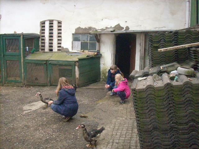 Kinder beim Rundgang...