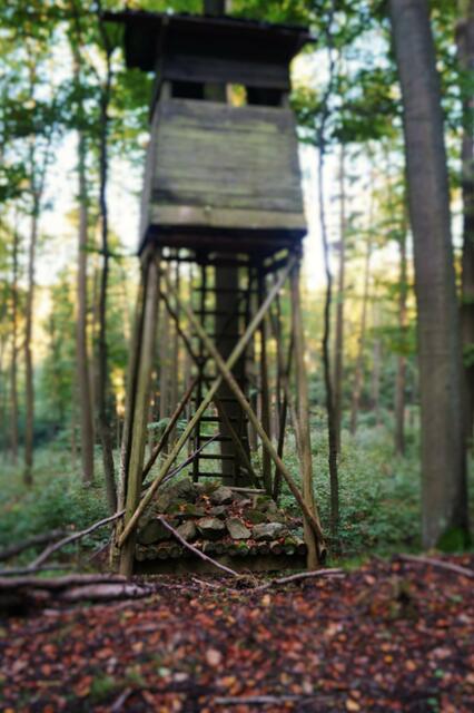 Ein Hochsitz mit Wurfgeschossen oder aus der Steinzeit?