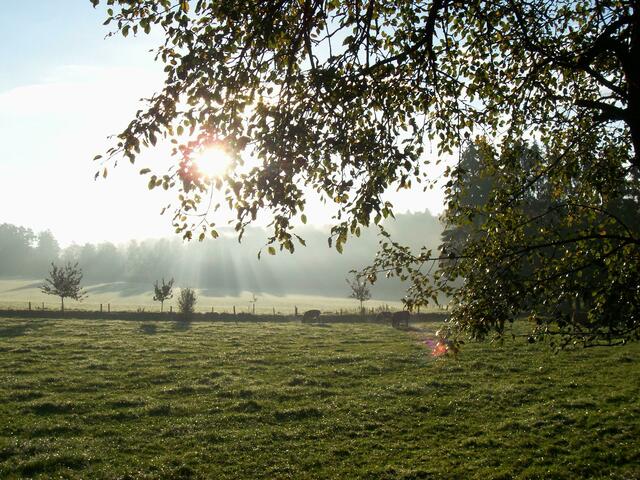 Morgenstimmung in Sankt Ottilien
