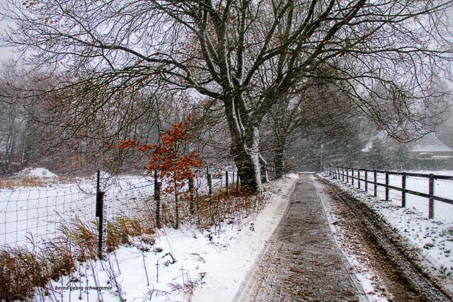 Schneetreiben