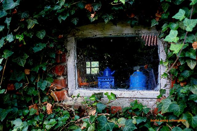 Kellerfenster