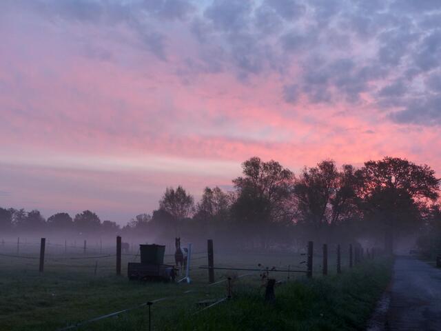 Bei dieser Aufnahme denke ich an Eos, die rosenfingrige "GÖTTIN DER MORGENRÖTE" - MORGENSTIMMUNG IN BURGWEDEL