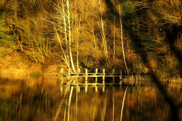 Idylle am Waldsee II