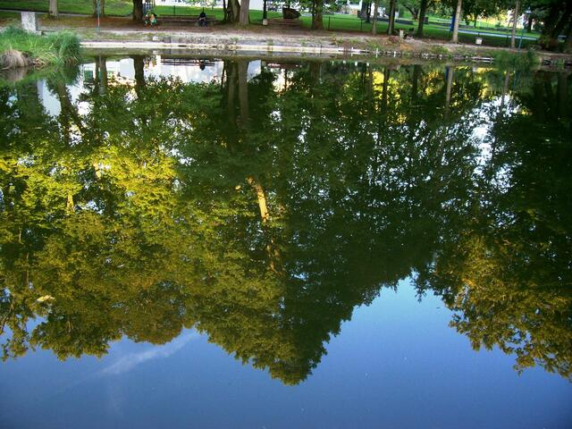 Sommerliche Spiegelung