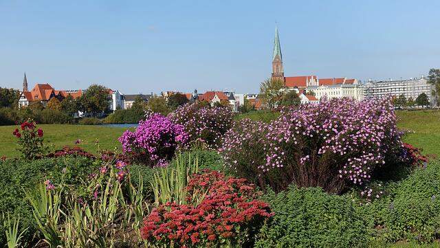 Herbstblüher dominieren die Blumeninseln der „Schwimmenden Gärten“, im Hintergrund die Altstadt mit dem Dom. Foto: Helmut Kuzina