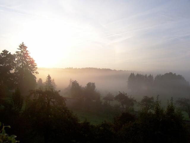 Nebelfeld am Morgen in Sankt Ottilien