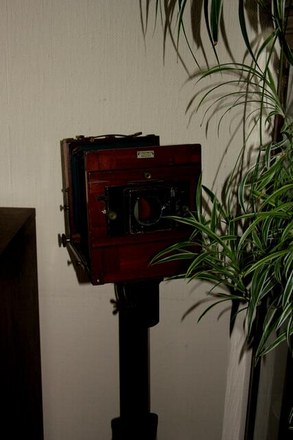 Digital??? aus 1800 und kruck? Haha.