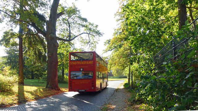 Während der Stadtrundfahrt lassen sich die goldenen Momente, die der Herbst in diesen Tagen beschert, bequem genießen. Foto: Helmut Kuzina