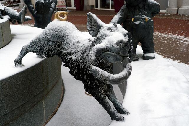 Der Schweinehund vom Jungbrunnen in Bad Harzburg