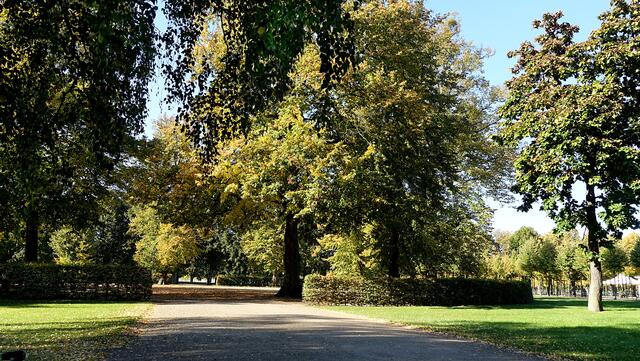 Im Schlossgarten lässt die Herbstsonne die farbigen Blätter der Bäume golden leuchten. Foto: Helmut Kuzina