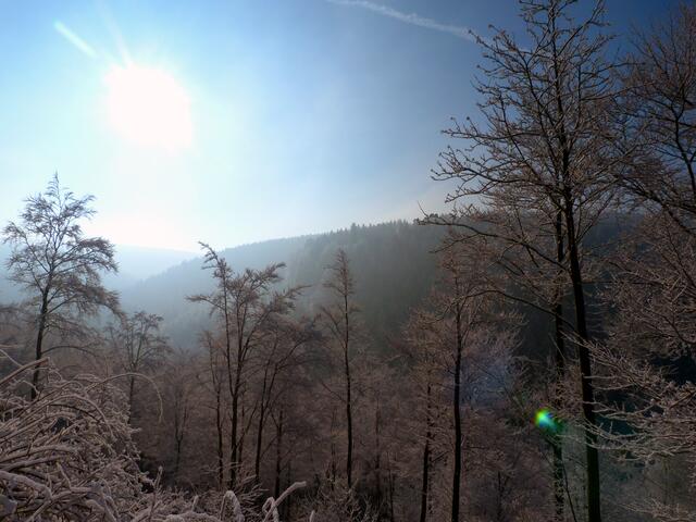 Winter im Harz, in der Nähe der Winterbergklippe