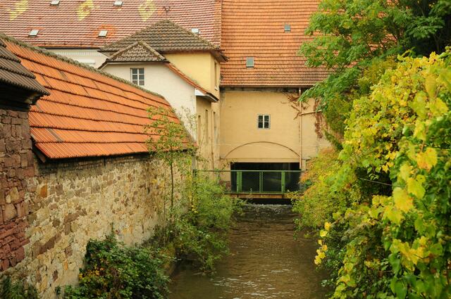 hinter der Mühle St. Leon-Rot