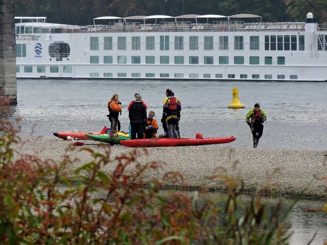 Kanuten vor der Kulisse eines Flußkreuzfahrschiffs !