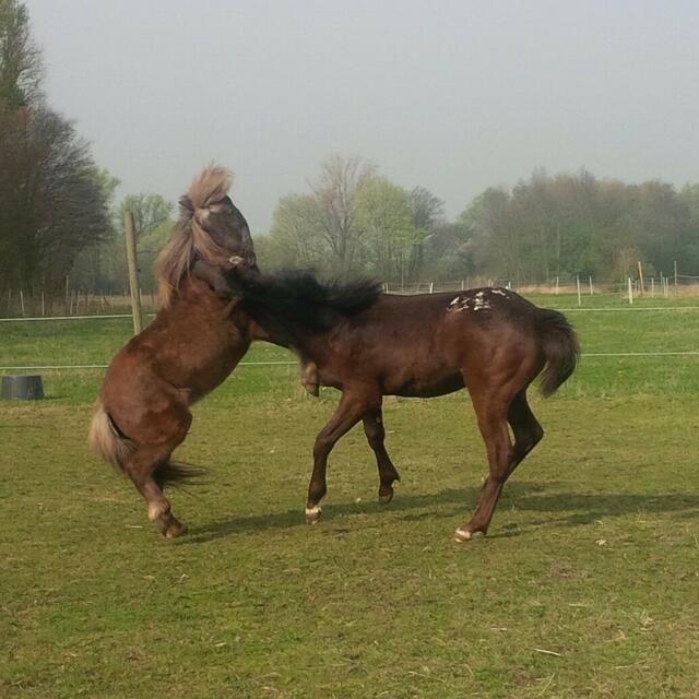 Kein Respekt vor dem Alter!