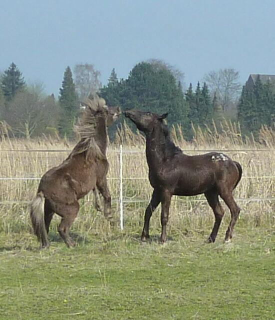 Küsschen?! Ich bin doch nicht schwul!