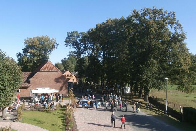 Auf der Wiese neben einer Gastwirtschaft geht es in die Höhe....