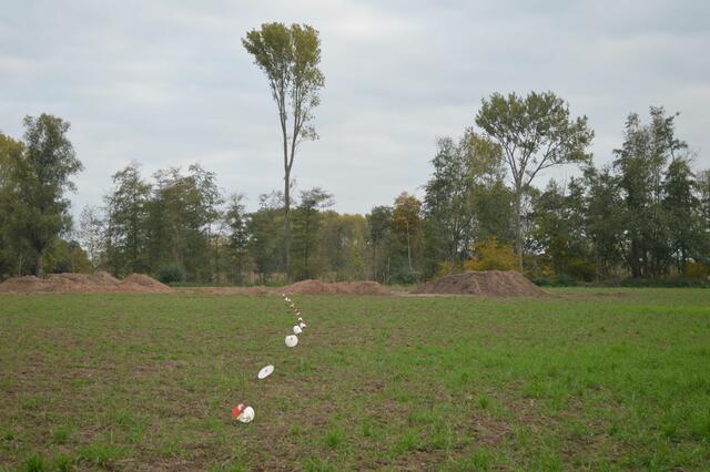 Hier haben die Archäologen Vermessungspunkte gesetzt