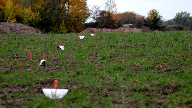 Die Pappteller gehörten nicht zur Marschverpflegung.