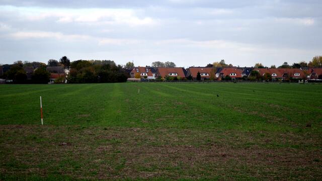 Die Denkmalspfleger warten auf Geld für neue Grabungen. Bis dahin soll der Acker weiter bestellt werden.