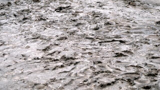 Hier waren Germanen unterwegs