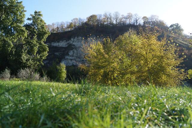 ich stiefelte durch das hohe, tropfnasse Gras, sog die herrliche Herbstluft ein und war zufrieden mit der heute so schönen heilen Welt