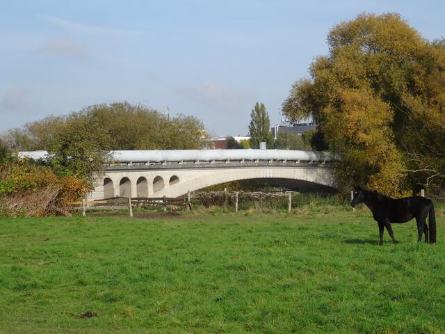 Brücke am Wasserwerk
