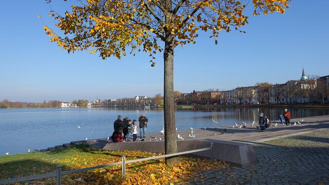 Noch zeigt sich die prächtige Stadtlandschaft am Pfaffenteich, doch an diesen Herbsttagen verändert sich die Natur sehr schnell. Foto: Helmut Kuzina