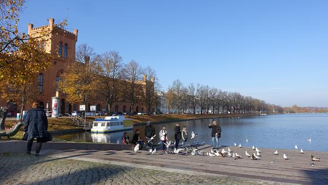 Das Streulicht am Nachmittag beeinflusst die Stimmung an der Südterrasse des Pfaffenteichs. Foto: Helmut Kuzina