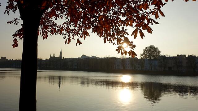 Das Streulicht am Nachmittag beeinflusst die Stimmung am Pfaffenteich. Foto: Helmut Kuzina