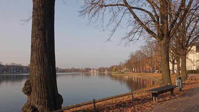 Herbstfarben begleiten mit ihrer Leuchtkraft den Weg um den Pfaffenteich. Foto: Helmut Kuzina