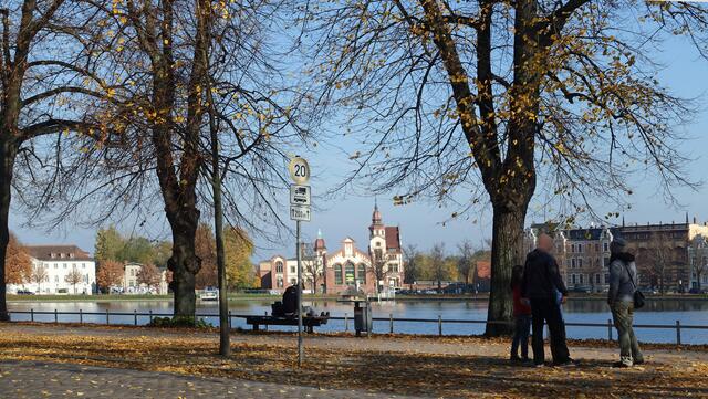 Fast das gesamte Laub haben die Linden am Pfaffenteich bereits verloren. Foto: Helmut Kuzina