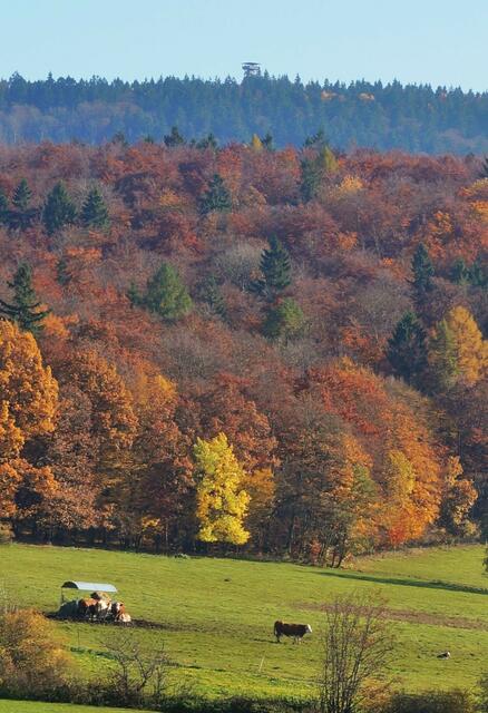 Ein Blick zurück in die farbenfrohe Natur zum Turm