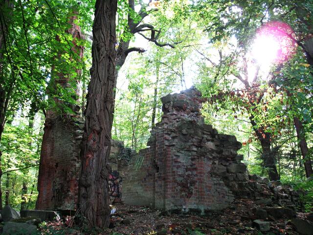 So sah die Ruine vor der Sanierung aus.