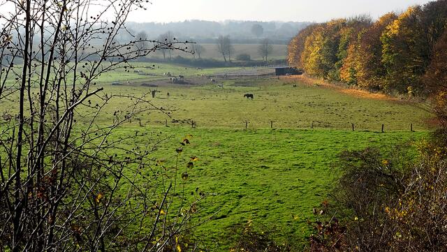 Landwirtschaftlich genutzte Flächen sind wichtige Elemente des Hügellandes. Foto: Helmut Kuzina