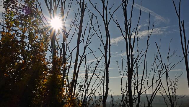 Die Herbstsonne trägt dazu bei, dass die Hügellandschaft wie aus einem Bilderbuch erscheint. Foto: Helmut Kuzina