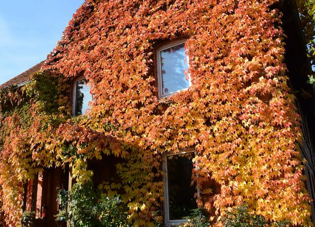 Eher Fassade als Fenster - in Gronauu/Leine