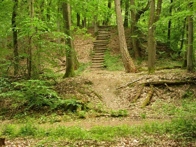 Nicht mehr ausgeschilderte Teppe am alten Steinbruch