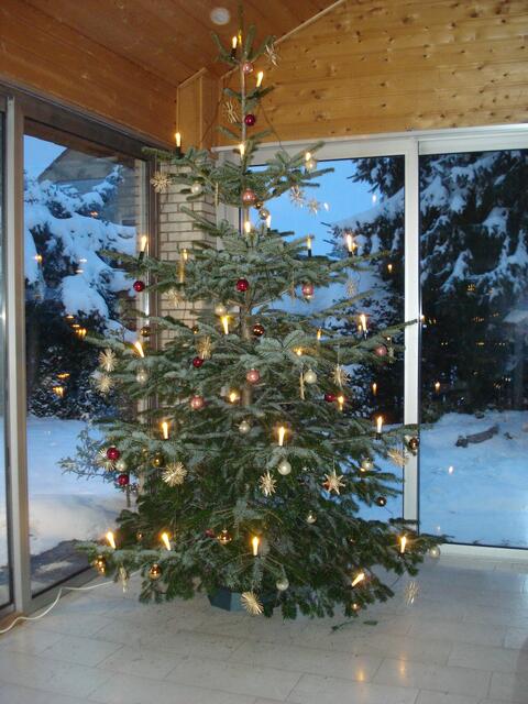 Mein Weihnachtsfenster