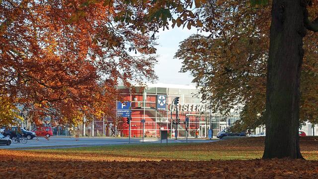 Vom Schlossgarten reicht die Sicht zum Ostseekai an der Kieler Förde. Foto: Helmut Kuzina