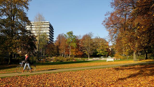 Die jüngste Umgestaltung 2006 lässt den Schlossgarten wieder in altem Glanz erstrahlen. Foto: Helmut Kuzina