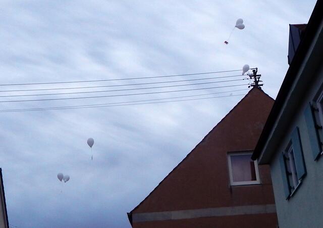 Der Wind ist zwar stark. Doch wenn sie sich verfangen war es nur ein kurzer Flug.