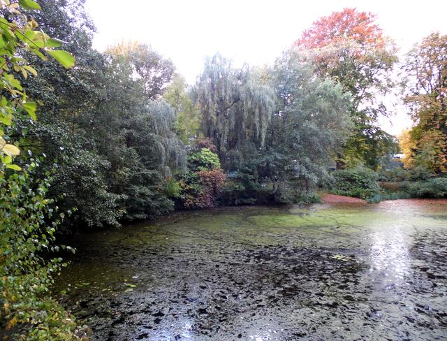 Ein Teich bildet den Mittelpunkt der Parkanlage.