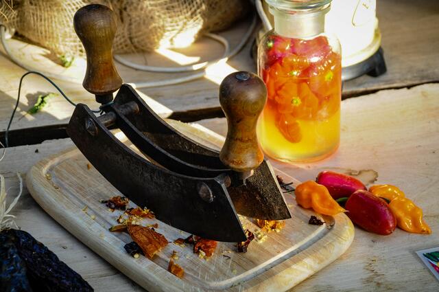 Chili - Ausstellung im Berggarten Hannover