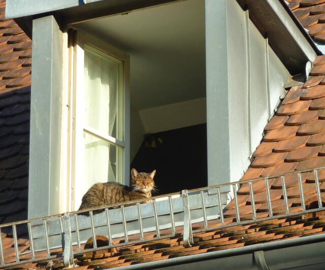 So schön ist es in Saarbrückens Sonne.