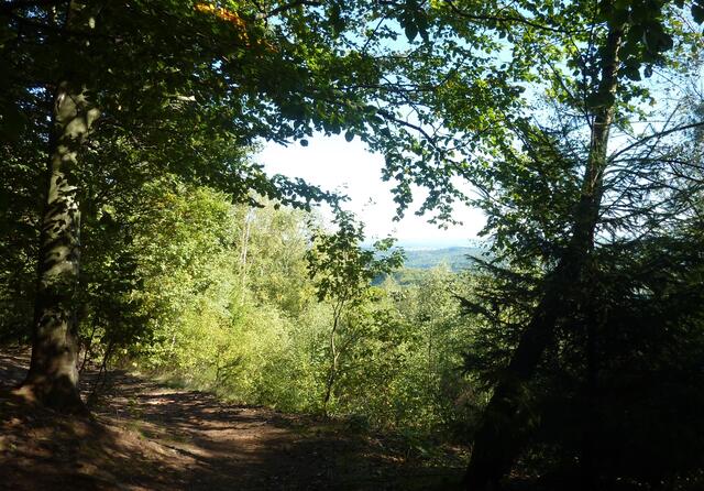 Hier geht es zur Primstalsperre (Talsperre Nonnweiler).