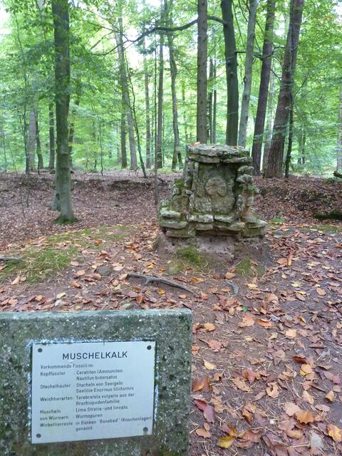 Man bekommt auch Informationen zu den Steinen.