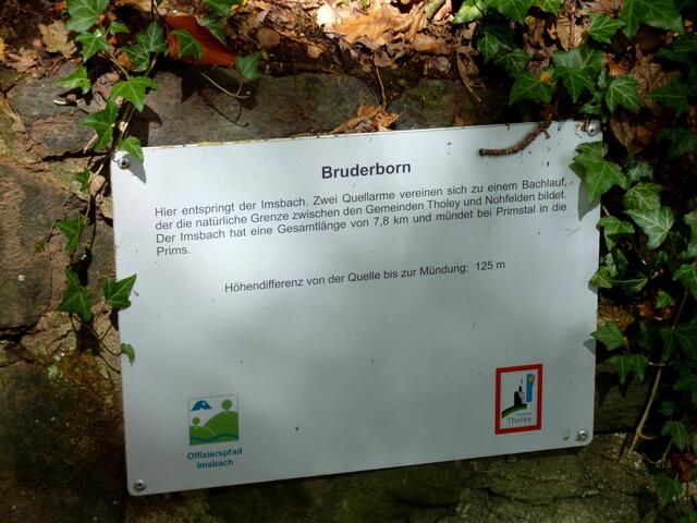Am Bruderborn, der Zwillingsquelle des Imsbachs